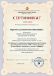 «Особенности проведения индивидуальных и групповых занятий у дошкольников с ОНР с использованием интерактивного материала (с учетом САНПИН)»